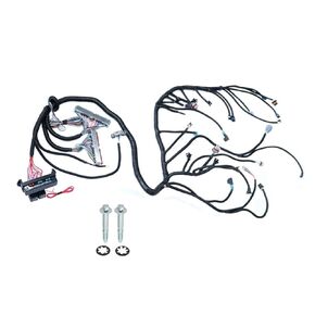 Automotive Wiring Harness Compatible with LS SWAPS DBC 4.8 5.3 6.0 1999-2006 LS1-4L60E