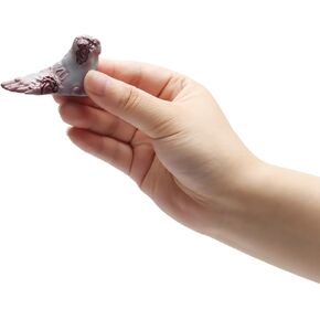 نموذج مصغر للقدم البشرية الإبداعية زومبي الوحش القدم الدعامة وهمية مصغرة هالوين جزء الجسم في قبة زجاجية لمشهد المقبرة المنزل سطح المكتب الحرف ديكورات الحفلات المخيفة in Kuwait