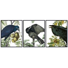 Raven, Crow Poster Set - 8x10 Audubon Botanical Prints - Gift for Men, Women, Edgar Allan Poe The Raven Poem Fan - Bird Watching Wall Art Decor - Home Decoration for Bedroom, Living, Dining Room