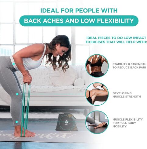 Resistance Bands kit | Physical Therapy Workout Equipment : Exercise Bands, Resistance Band Loops, Pull-up Band, Jump Rope & Sliders. Reduce Pain, Improve Flexibility & Strength. Free Back Plan incl. in Saudi Arabia