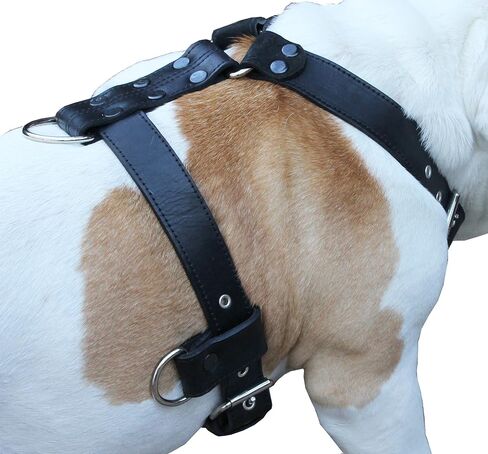 Genuine Leather Dog Harness X-Large 33"-40" Chest, 1.3" Wide Adjustable Straps (Black) in Saudi Arabia