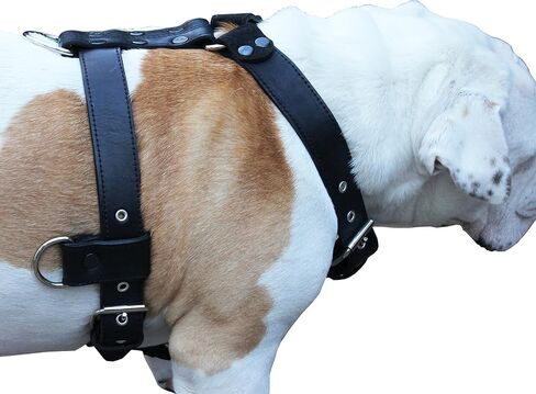 Genuine Leather Dog Harness X-Large 33"-40" Chest, 1.3" Wide Adjustable Straps (Black) in Saudi Arabia