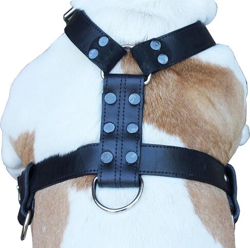 Genuine Leather Dog Harness X-Large 33"-40" Chest, 1.3" Wide Adjustable Straps (Black) in Saudi Arabia