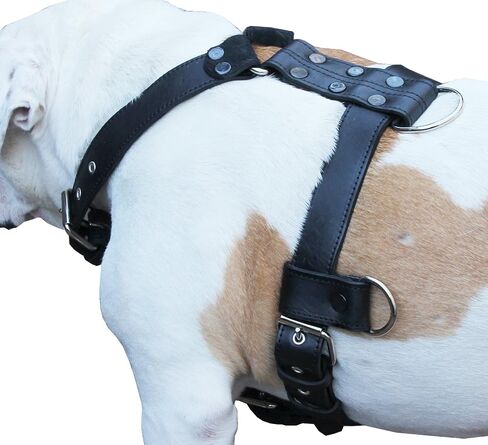 Genuine Leather Dog Harness X-Large 33"-40" Chest, 1.3" Wide Adjustable Straps (Black) in Saudi Arabia