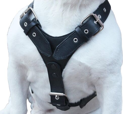 Genuine Leather Dog Harness X-Large 33"-40" Chest, 1.3" Wide Adjustable Straps (Black) in Saudi Arabia