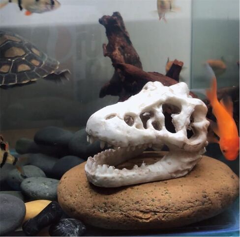 حوض السمك ديناصور الجمجمة ديكور، الزواحف إخفاء منزل مأوى كهف ل Terrarium أبو بريص العنكبوت سحلية ثعبان، خزان الأسماك إخفاء الجمجمة كهف منزل الحجارة للأسماك الصغيرة الروبيان بيتا كوي سرطان البحر in Kuwait
