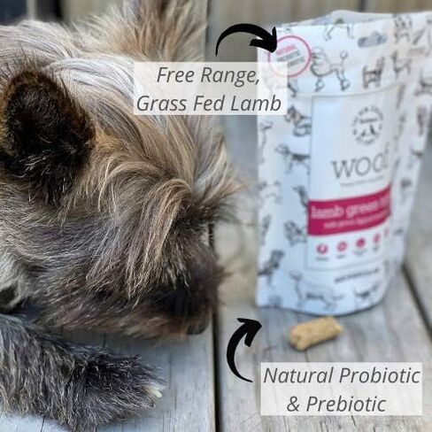 The New Zealand Natural Pet Food Co WOOF Freeze Dried Dog Treats - Lamb Green Tripe, High Protein, Large & Small Dog, Topper or Dog Treat - 1.4 oz in Saudi Arabia