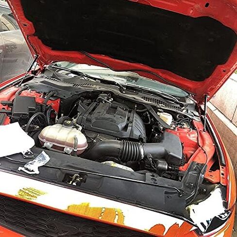 دعامات الرفع لسيارة Ford Mustang MK6 2015-2020 غطاء محرك السيارة الأمامي تعديل مخمدات الصدمات المشحونة بالغاز من ألياف الكربون شريط الدعامات الزنبركية (قطعتان) (أسود عادي) in Kuwait