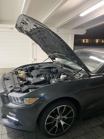 دعامات الرفع لسيارة Ford Mustang MK6 2015-2020 غطاء محرك السيارة الأمامي تعديل مخمدات الصدمات المشحونة بالغاز من ألياف الكربون شريط الدعامات الزنبركية (قطعتان) (أسود عادي) in Kuwait