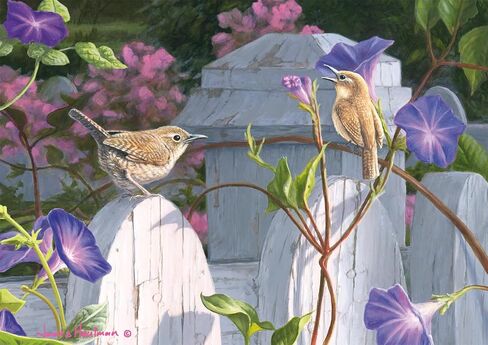 Buffalo Games - Hautman Brothers - Wren and Flowers - 300 Large Piece Jigsaw Puzzle for Adults Challenging Puzzle Perfect for Game Nights - Finished Size 21.25 x 15.00 in Saudi Arabia