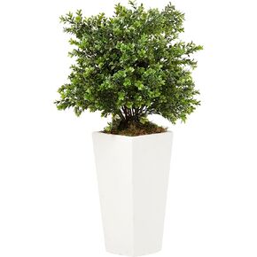 Nearly Natural 6383 Artificial Plant in White Sweet Grass in Tower Planter (Indoor/Outdoor), Green,17"Dx17"Wx33"H