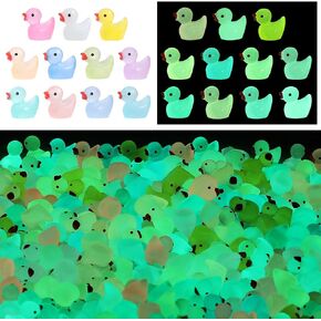 220pcs Luminous Mini Tiny Resin Ducks Plastic Small Duck Bulk, Glow in The Dark Tiny Ducks for Garden Micro Landscape Ornament Dollhouse Prank Christmas Birthday Party DIY Decoration Craft(11 Colors)
