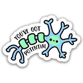 (3pcs)You've Got Potential Cute Neuron Sticker for Phone Case Laptop Tumbler Cars Trucks, Funny Biology Stickers, Kindle Stickers, Book Stickers, Neuro Psychology Decals Decor Gift (Size 2")