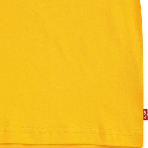 Levi's® Boy's Short Sleeve Graphic Tee (Little Kids) in Saudi Arabia