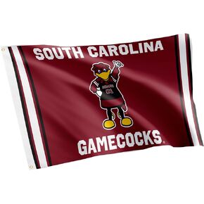 Desert Cactus University of South Carolina Flag Gamecocks USC Cocky Flag Banners 100% Polyester Indoor Outdoor 3x5 feet Flags (Design Y)