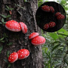 Glow-in-The-Dark Mushroom, lawn ornaments, Wall Floating Shelf Whimsical Mushroom Room Decor Wall Mounted Hanging Shelves for Bedroom Living Room Bathroom Kitchen (3 Pcs, Mixed Sizes)