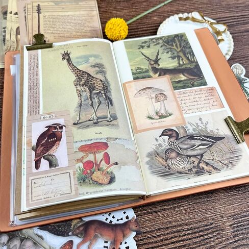 200pcs Vintage Scrapbook Paper Sticker Journaling Scrapbooking Supplies Kit Aesthetic Decorative Craft Paper for Art Junk Journals Planners(Wild Nature) in Kuwait