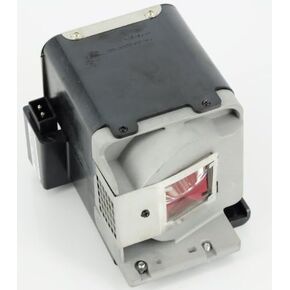 Replacement Projector Lamp Bulb with Housing for RLC-049 VIEWSONIC PJD6241 PJD6381 PJD6531W.