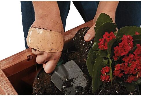 ضمادات الوسادة النشطة الإضافية من نيكسكير، متنوعة، 30 قطعة in Kuwait