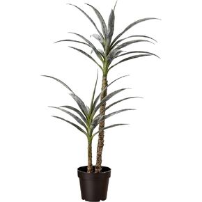 Amazon Basics Artificial Yucca Plant with Plastic Nursery Pot, 40-Inch, Medium