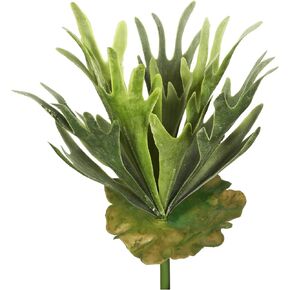 Vickerman Everyday 13" Indoor Artificial Staghorn Fern Bush - Large Frosted Green Foliage - Unique Succulent Decoration - Maintenance Free - Home or Office Greenery - Artificial Plant