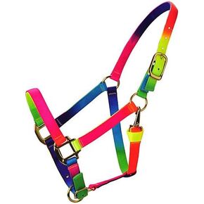 Deluxe Rainbow Adjustable Nylon Halter with Snap
