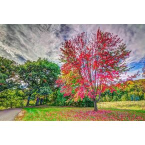 Jigsaw Puzzle for Adults -A Fairy House in The Woods-500 Piece Jigsaw Puzzle for Adults Challenging Puzzle Perfect for Game Nights