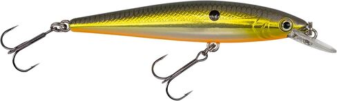 طُعم صيد السمك Strike King (HCKVDJ100-506 KVD Jerkbait 100 بخطافين، 406 - ظهر ذهبي/أسود، 1/4 أونصة، 3 5/8 بوصة in Saudi Arabia