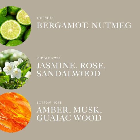 Aroma360 | Disney Reflection Pro- Pod Fragrance Oil Blend | Disney Princess Mulan | Luxury Essential Diffuser Oil | Aromatherapy Scent Diffuser Oil | Bergamot, Nutmeg and Jasmine 1.7 fl oz 50mL in Kuwait