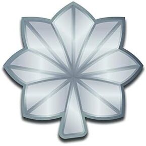 Lt Colonel Lieutenant Col. 5-Inch Rank 2-Pack Premium Quality Vinyl Decal Stickers | Laminated with UV Protective Laminate | PD3087