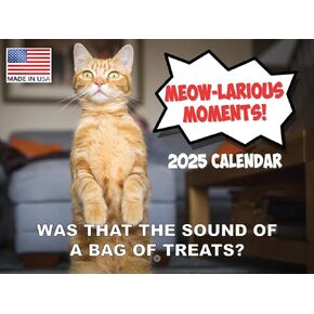 Funny Cat Calendar 2025 Meowlarious Cats Monthly Wall Calender 12 Month