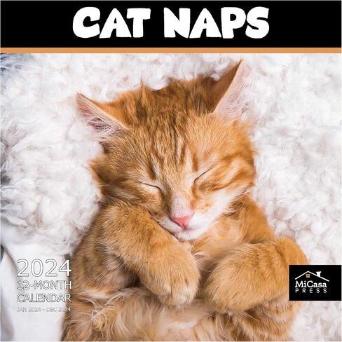 MICASA Cat Naps 2024 Hangable Monthly Wall Calendar | 12" x 24" Open | Thick & Sturdy Paper | Giftable | Teen Kids Funny Cute Kittens | Sleeping Beauties in Saudi Arabia