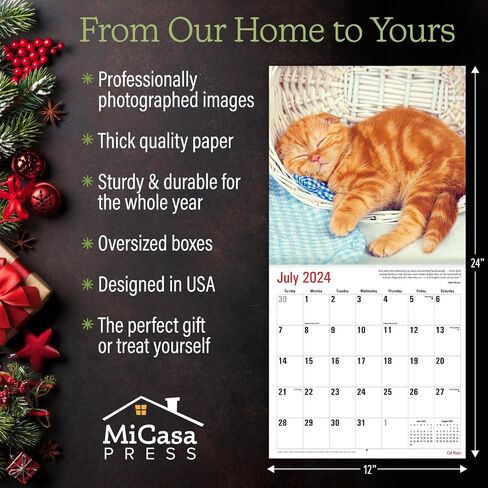 MICASA Cat Naps 2024 Hangable Monthly Wall Calendar | 12" x 24" Open | Thick & Sturdy Paper | Giftable | Teen Kids Funny Cute Kittens | Sleeping Beauties in Saudi Arabia