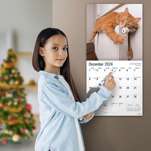 MICASA Cat Naps 2024 Hangable Monthly Wall Calendar | 12" x 24" Open | Thick & Sturdy Paper | Giftable | Teen Kids Funny Cute Kittens | Sleeping Beauties in Saudi Arabia