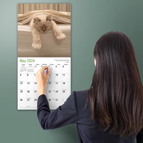 MICASA Cat Naps 2024 Hangable Monthly Wall Calendar | 12" x 24" Open | Thick & Sturdy Paper | Giftable | Teen Kids Funny Cute Kittens | Sleeping Beauties in Saudi Arabia