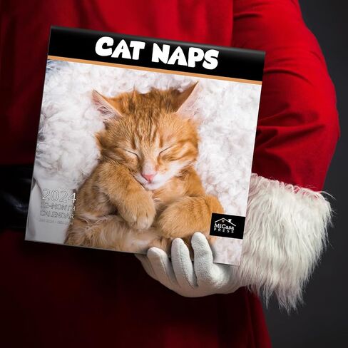 MICASA Cat Naps 2024 Hangable Monthly Wall Calendar | 12" x 24" Open | Thick & Sturdy Paper | Giftable | Teen Kids Funny Cute Kittens | Sleeping Beauties in Saudi Arabia