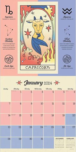 TF PUBLISHING 2024 Year of Astrology Wall Calendar | Large Grids for Appointments and Scheduling | Vertical Monthly Wall Calendar 2024 | Home & Office Organization | Thick Matte Paper | 12"x12" in Saudi Arabia
