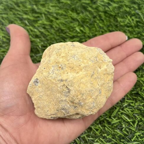 Break Your Own Geodes! BOX SET WITH HAMMER | Raw, Uncut Crystal Geode Specimens | MEDIUM Size | Sparkly White Crystal Geodes (8) in Saudi Arabia