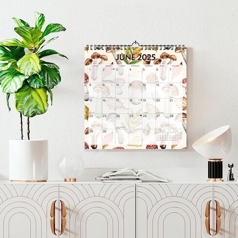 Willow Creek Press Mushrooms Academic July 2024 - June 2025 Monthly 12" x 12" Spiral-Bound Wall Calendar in Saudi Arabia