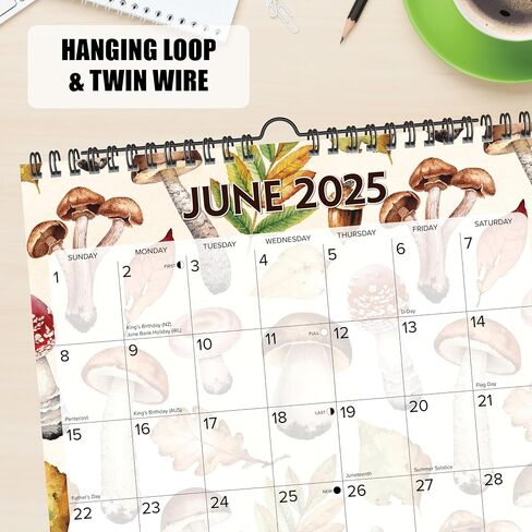 Willow Creek Press Mushrooms Academic July 2024 - June 2025 Monthly 12" x 12" Spiral-Bound Wall Calendar in Saudi Arabia