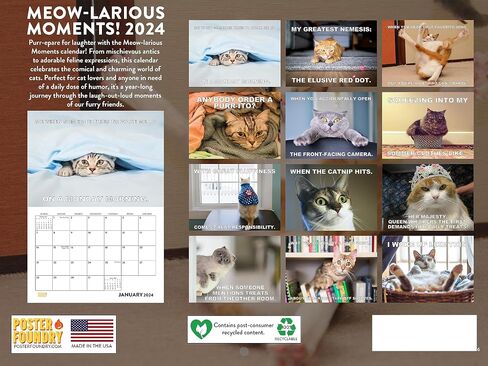 Funny Cat Calendar 2025 Meowlarious Cats Monthly Wall Calender 12 Month in Saudi Arabia