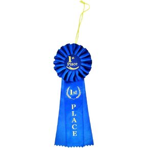 Treasure Gurus Deluxe 1st First Place Blue Rosette Ribbon Winner Medal Badge Class Trophy School Award