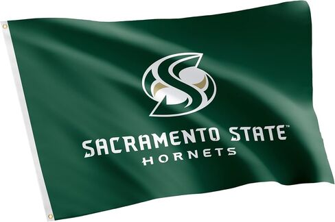 Desert Cactus Cal State Sacramento Flag University California Hornets Sac Flag Banners 100% Polyester Indoor Outdoor 3x5 feet Flags (Style 1) in Saudi Arabia