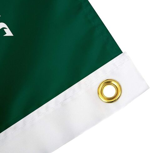 Desert Cactus Cal State Sacramento Flag University California Hornets Sac Flag Banners 100% Polyester Indoor Outdoor 3x5 feet Flags (Style 1) in Saudi Arabia