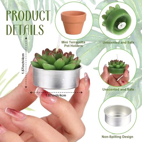 12 قطعة من الشموع النضرة المبتكرة المصنوعة يدويًا على شكل صبار تيلايت، شمعة نباتية دقيقة وأنيقة، شموع صبار صغيرة لتزيين حفلات استقبال المولود الجديد، هدايا الزفاف وأعياد الميلاد (نمط لطيف) in Kuwait