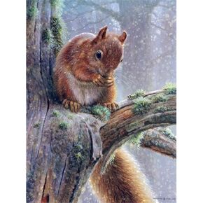 DIY 5d Diamond Painting Kits, Squirrel On The Tree, Forest Animal 12x16in Canvas Full Drill Diamond Art Paint with Diamonds Crystal Cross Stitch