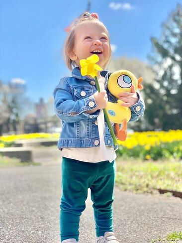 مجموعة YOTTOY Mo Willems (الحمامة والبط) in Kuwait