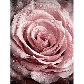 pigpigboss Pink Rose Diamond Painting Kit 5D Full Diamond Painting by Numbers - Flower Diamond Painting Dots Kit Rose Painting Arts Crafts Home Decor Gift for Adults (11.8 x 15.7 inches)