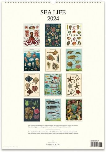 Cavallini 2024 Calendar Wall Farmers Market 472154 in Saudi Arabia