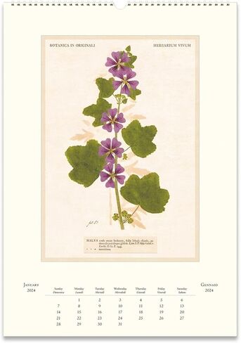 Cavallini 2024 Calendar Wall Farmers Market 472154 in Saudi Arabia